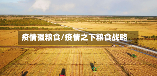 疫情强粮食/疫情之下粮食战略-第2张图片
