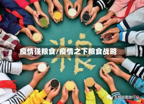 疫情强粮食/疫情之下粮食战略-第1张图片