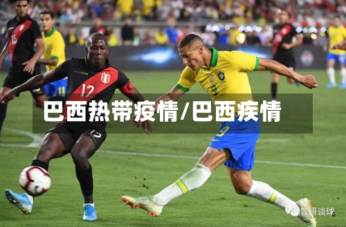 巴西热带疫情/巴西疾情-第2张图片