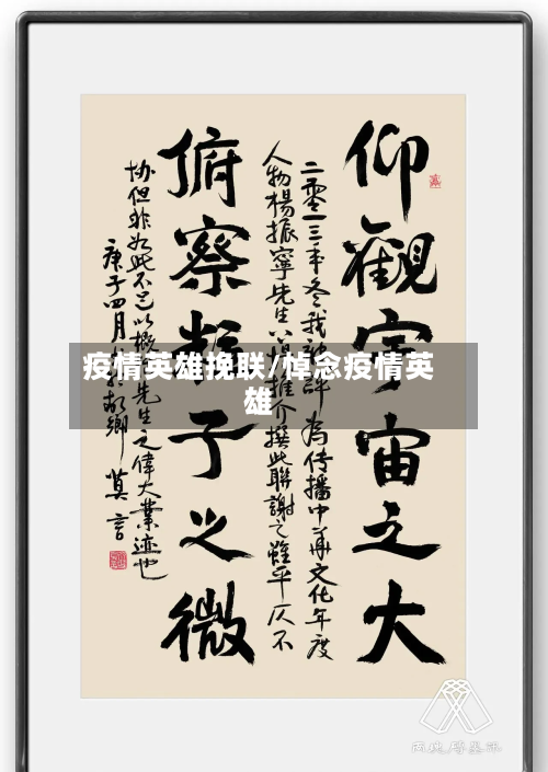 疫情英雄挽联/悼念疫情英雄-第1张图片