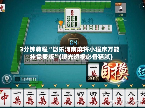 3分钟教程“微乐河南麻将小程序万能挂免费版”(曝光透视必备猫腻)-第2张图片