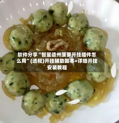 软件分享“智星德州菠萝开挂插件怎么用”(透视)开挂辅助脚本+详细开挂安装教程-第1张图片