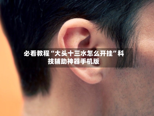 必看教程“大头十三水怎么开挂”科技辅助神器手机版-第1张图片