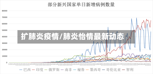 扩肺炎疫情/肺炎怡情最新动态-第2张图片
