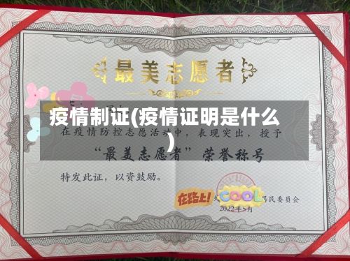 疫情制证(疫情证明是什么)-第1张图片