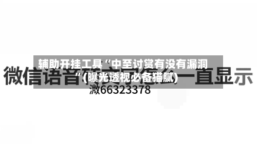 辅助开挂工具“中至讨赏有没有漏洞”(曝光透视必备猫腻)-第1张图片