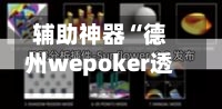 辅助神器“德州wepoker透视挂”真实开挂技巧分享-第1张图片