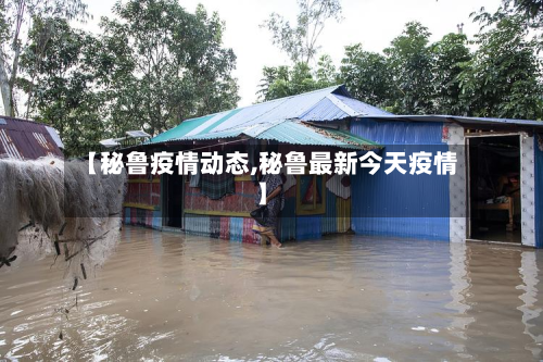 【秘鲁疫情动态,秘鲁最新今天疫情】-第1张图片