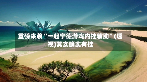 重磅来袭“一起宁德游戏内挂辅助”(透视)其实确实有挂-第1张图片
