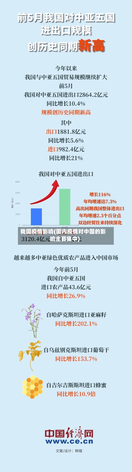 我国疫情影响(国内疫情对中国的影响主要集中)-第2张图片