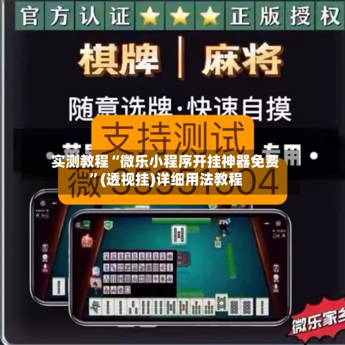 实测教程“微乐小程序开挂神器免费”(透视挂)详细用法教程-第3张图片