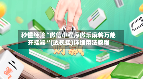 秒懂经验“微信小程序微乐麻将万能开挂器“(透视挂)详细用法教程-第1张图片
