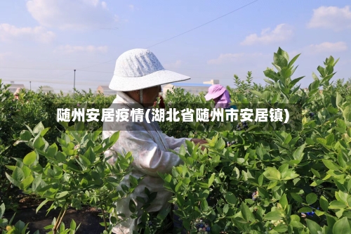 随州安居疫情(湖北省随州市安居镇)-第1张图片
