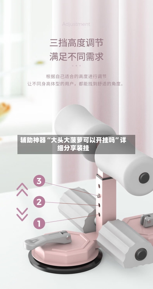 辅助神器“大头大菠萝可以开挂吗”详细分享装挂-第2张图片