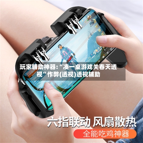 玩家辅助神器:“凑一桌游戏关春天透视”作弊(透视)透视辅助-第2张图片