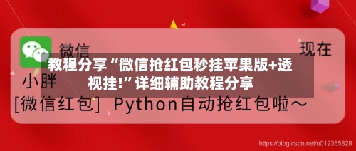 教程分享“微信抢红包秒挂苹果版+透视挂!”详细辅助教程分享-第3张图片