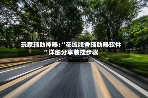 玩家辅助神器:“花城牌舍辅助器软件”详细分享装挂步骤-第1张图片