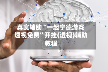 真实辅助“一起宁德游戏透视免费”开挂(透视)辅助教程-第2张图片