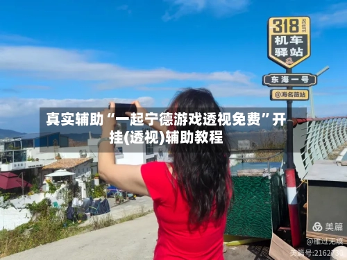 真实辅助“一起宁德游戏透视免费”开挂(透视)辅助教程-第3张图片