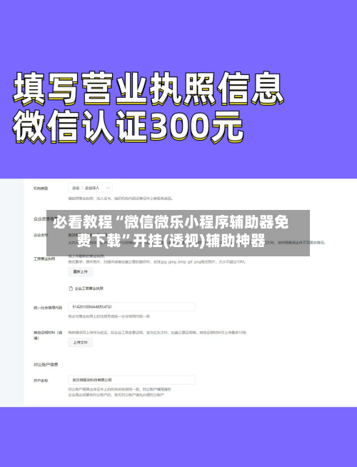 必看教程“微信微乐小程序辅助器免费下载	”开挂(透视)辅助神器-第1张图片