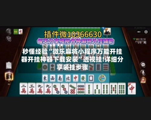 秒懂经验“微乐麻将小程序万能开挂器开挂神器下载安装”透视挂!详细分享装挂步骤-第1张图片