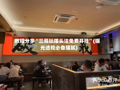 教程分享“三哥玩摆头注免费开挂”(曝光透视必备猫腻)-第1张图片