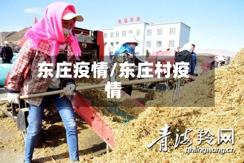东庄疫情/东庄村疫情-第1张图片
