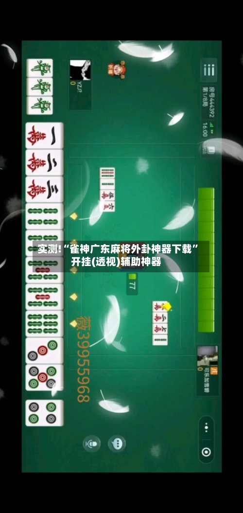 实测!“雀神广东麻将外卦神器下载	”开挂(透视)辅助神器-第2张图片