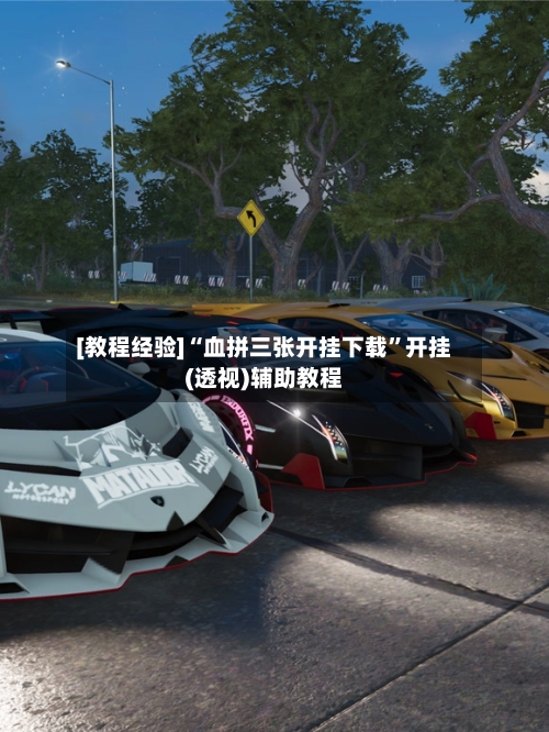 [教程经验]“血拼三张开挂下载”开挂(透视)辅助教程