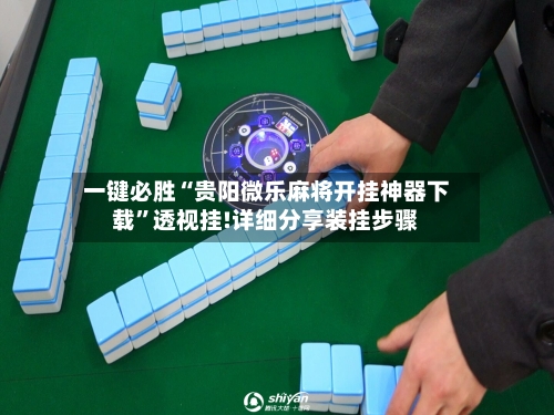 一键必胜“贵阳微乐麻将开挂神器下载”透视挂!详细分享装挂步骤-第2张图片