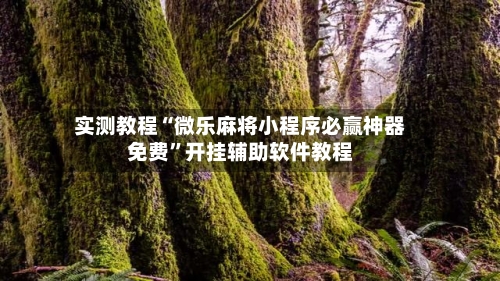 实测教程“微乐麻将小程序必赢神器免费”开挂辅助软件教程