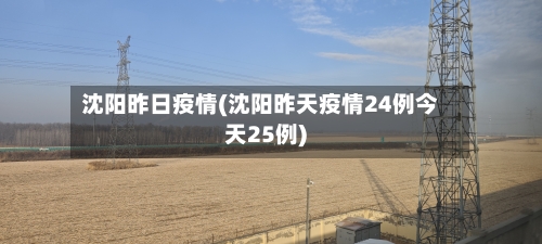 沈阳昨日疫情(沈阳昨天疫情24例今天25例)