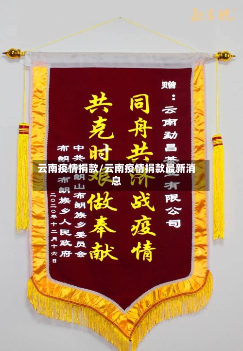 云南疫情捐款/云南疫情捐款最新消息-第1张图片