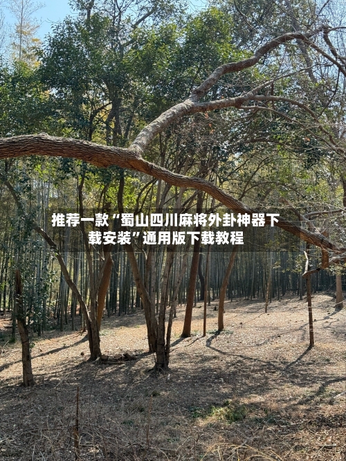 推荐一款“蜀山四川麻将外卦神器下载安装”通用版下载教程-第1张图片