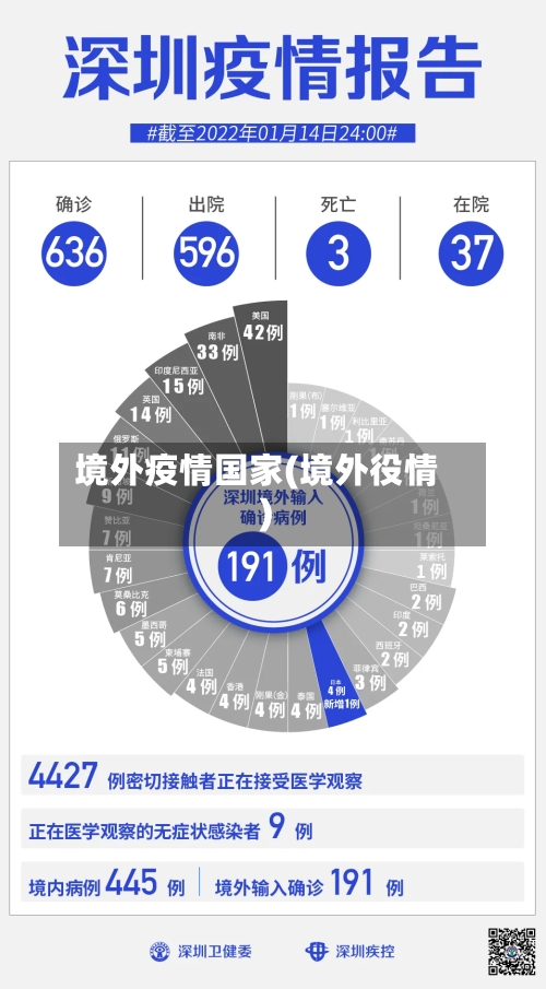 境外疫情国家(境外役情)-第3张图片