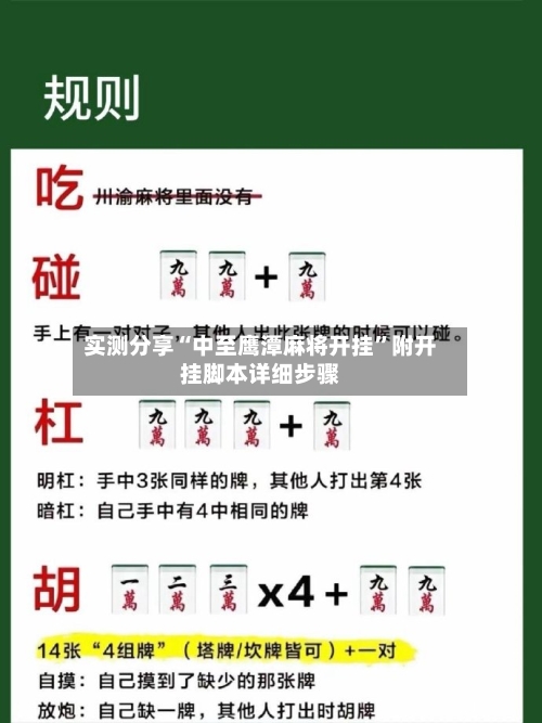 实测分享“中至鹰潭麻将开挂”附开挂脚本详细步骤-第1张图片