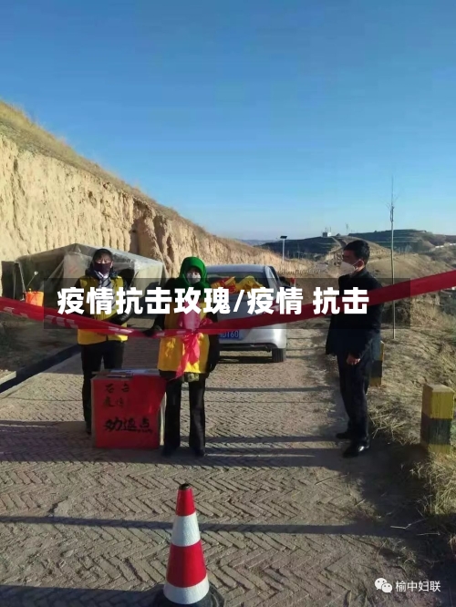疫情抗击玫瑰/疫情 抗击-第1张图片