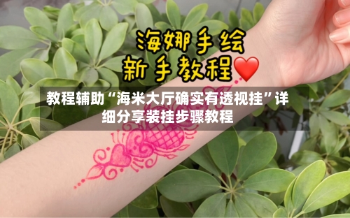 教程辅助“海米大厅确实有透视挂”详细分享装挂步骤教程-第1张图片