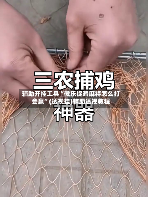 辅助开挂工具“微乐捉鸡麻将怎么打会赢”(透视挂)辅助透视教程-第1张图片