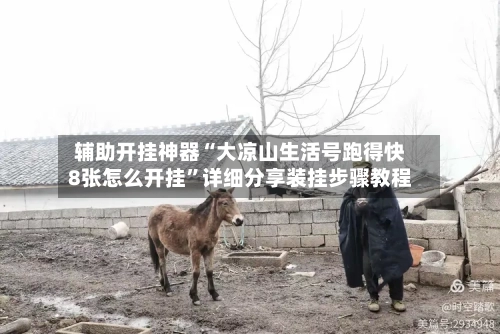辅助开挂神器“大凉山生活号跑得快8张怎么开挂	”详细分享装挂步骤教程-第1张图片
