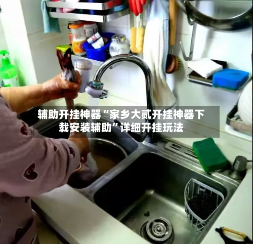 辅助开挂神器“家乡大贰开挂神器下载安装辅助	”详细开挂玩法-第1张图片