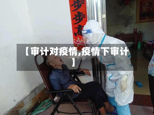 【审计对疫情,疫情下审计】-第1张图片