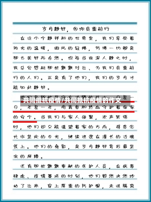 共同抵抗疫情/共同抵抗疫情的作文-第1张图片
