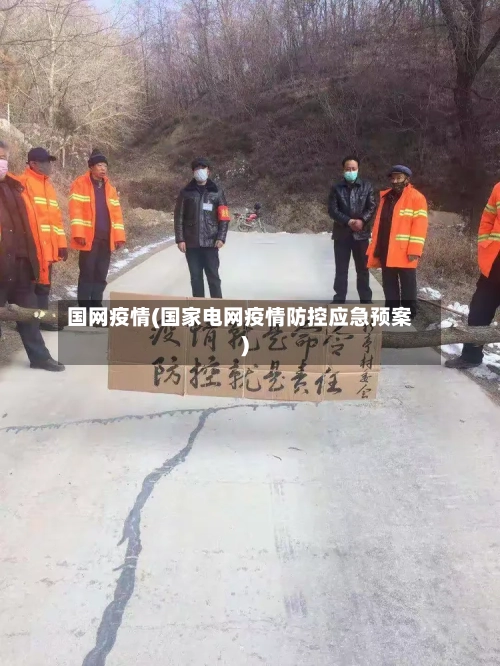 国网疫情(国家电网疫情防控应急预案)-第1张图片