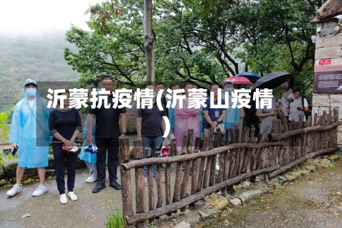 沂蒙抗疫情(沂蒙山疫情)-第3张图片