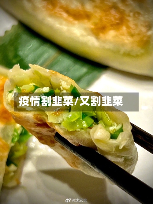 疫情割韭菜/又割韭菜-第1张图片