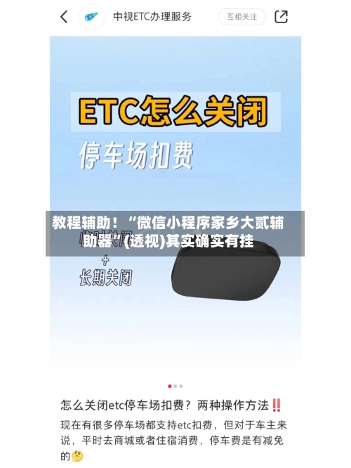 教程辅助！“微信小程序家乡大贰辅助器”(透视)其实确实有挂-第1张图片