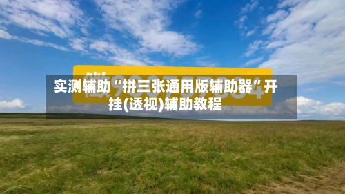 实测辅助“拼三张通用版辅助器”开挂(透视)辅助教程-第2张图片