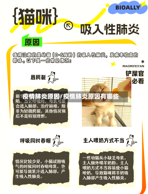 疫情肺炎原因/疫情肺炎原因有哪些-第2张图片