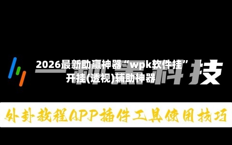 2026最新助赢神器“wpk软件挂”开挂(透视)辅助神器-第2张图片